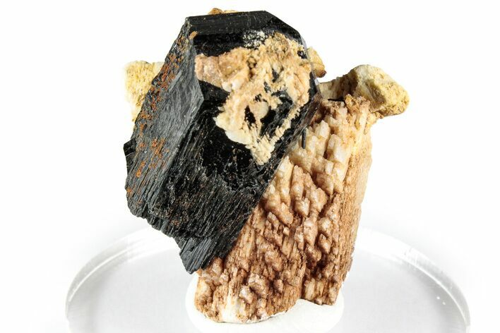 Lustrous Black Tourmaline (Schorl) Crystal on Feldspar - Namibia #348768